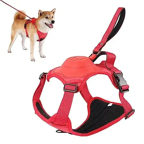 All-in-One Dog Harness & Retractable Leash